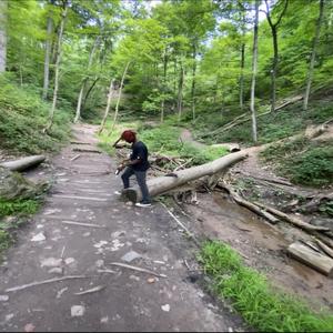 Mexico (feat. Almighty Alpha)