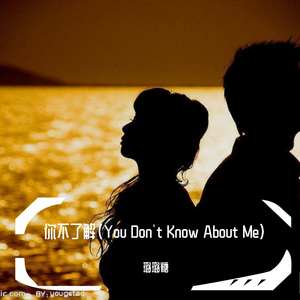 你不了解(You Don't Know About Me)伴奏