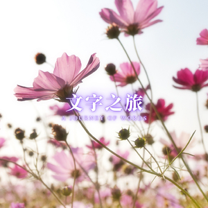 文字之旅 (刷题专属)