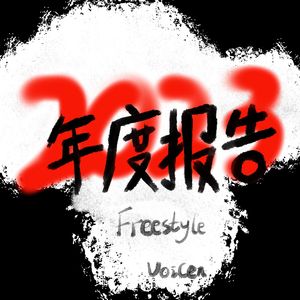 年度报告freestyle