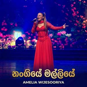 Nangiye Malliye (Swarna Rayak)