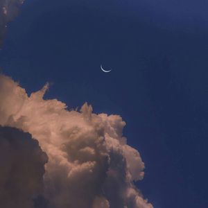 也许我会就这样离开