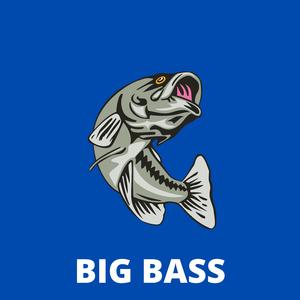 Big Bass
