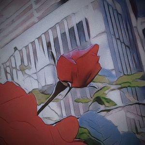 La Vie En Rose
