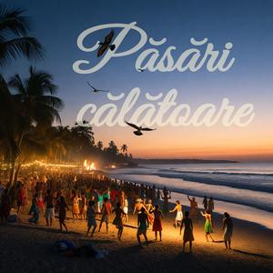 Păsări călătoare