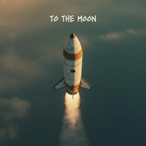 Felinity in the Event Horizon