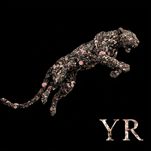 Radio’s Amnesiac Tune（电台的失忆旋律）