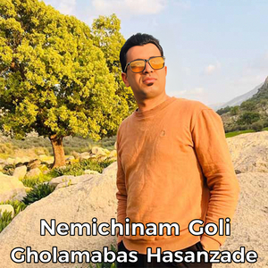 Nemichinam Goli