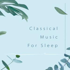 贝多芬: 献给爱丽丝