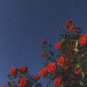 她是造物狂难辞其咎的败笔