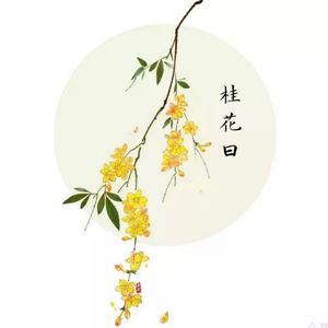 桂花曰