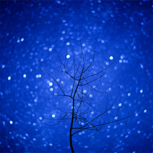 冬（Cover 秦昊）