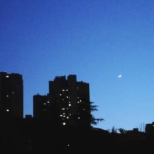[FREE]moonlight tastes like U