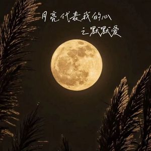 月亮代表我的心之默默爱