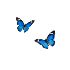 你常问什么是爱呢（feat.HANANNI)