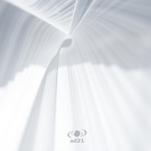 As the Sun Goes Down