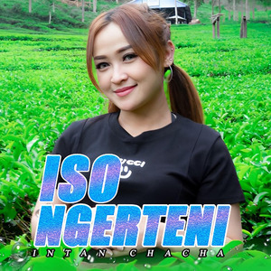 Iso Ngerteni