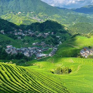 我的眼泪不为你说谎（翻自 舒岩）