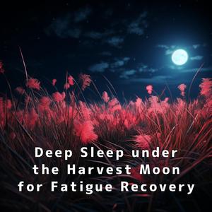 Lunar Lullaby's Luxury