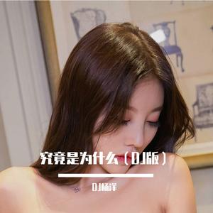 究竟是为什么（DJ版）