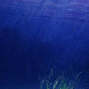 海底翻唱版