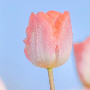 不断前进的未来路