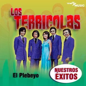 Como Dos Huerfanitos