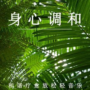 和谐疗愈