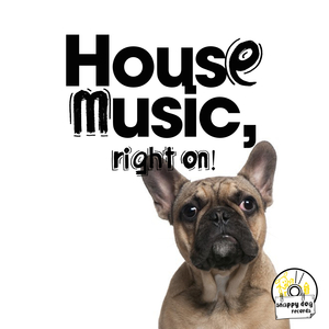 Kangaroo (Australian Dub)