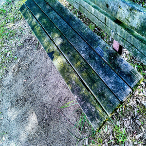 杜の都エレジー (One Shot Recording)