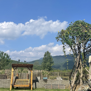 错过太阳 别错过月亮和星星