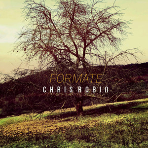 Formate (Radio Edit)