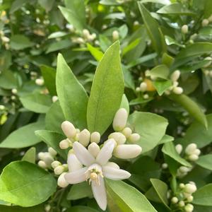 Skapa din himmel här