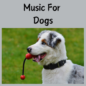 Music For Dogs