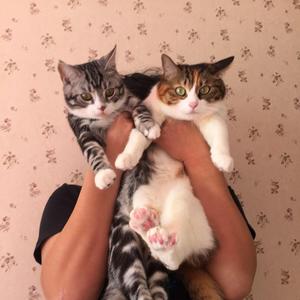 We dont talk anymore（钢琴演奏）