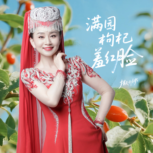 满园枸杞羞红脸-MMM-撒丽娜.wav