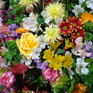 花鳥風月 (feat. 山本笑)