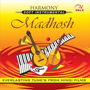 Aye Mere Humsafar -Qayamat Se Qayamat Tak