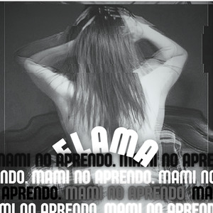 Mami No Aprendo
