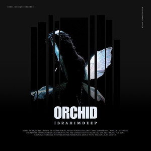 Orchid