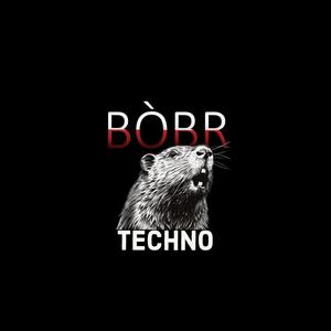 Bobr and Techno