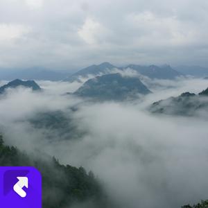 人生的路漫长又坎坷 (现场)