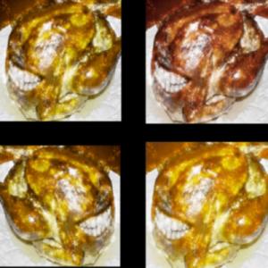 bad bird to fly emigrants