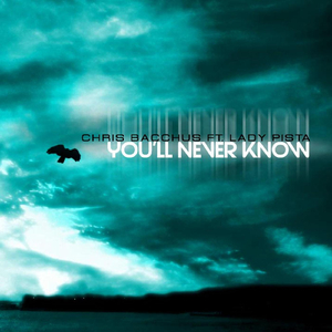 You'll Never Know (feat. Lady Pista)