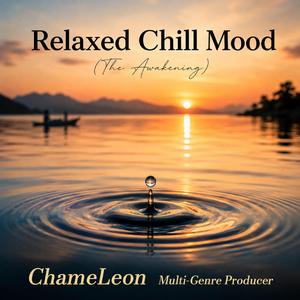 Do Not Disturb (Relaxed Chill Mood)