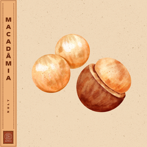 Macadâmia