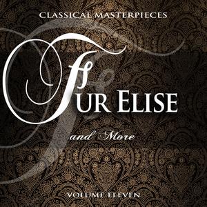 Introit Salve Sancta Parens II (Feasts of the BVM)