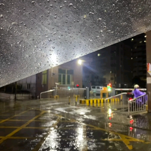 少年不知愁滋味