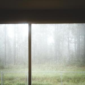 condolences for the wilted