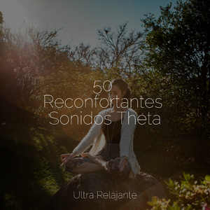 Zen Reconfortante